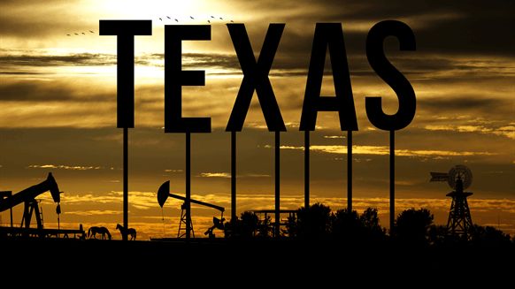 LyondellBasell eyes turnaround at Texas BD unit